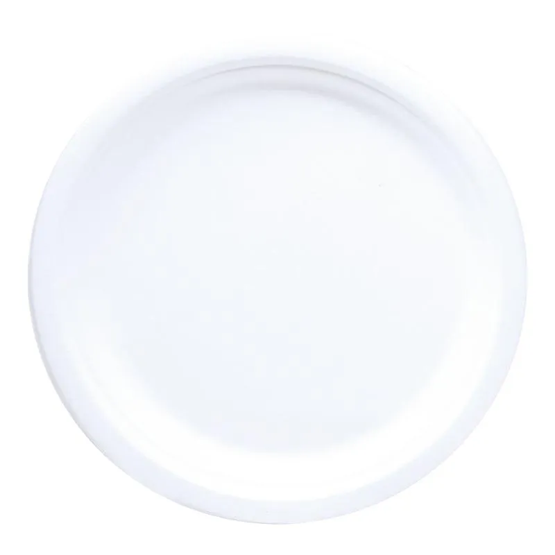 10" Eco-Friendly Disposable Plate (800 Count)