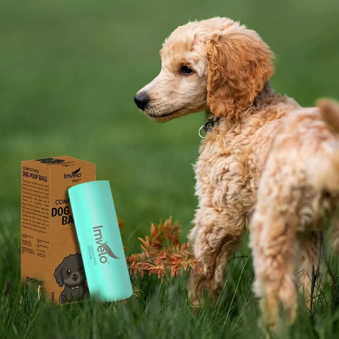 IMVELO GREEN YOUR HYGIENE Compostable Dog Poop Bags (60 Bags) 2 Rolls | Leak Proof Pet Waste Garbage Bags (Pack of 2, Green)