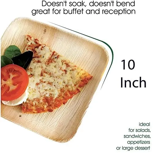 Kuber Industries Pack of 100 Disposable Palm Leaf Plates | Microwave & Oven Safe | Compostable, Disposable Tableware | Eco-Friendly Use & Throw Plates | Party, Dinner Plate |10 * 10 Inch