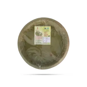 Leaf Plate 10 Pcs Set - 10 Inch Dia