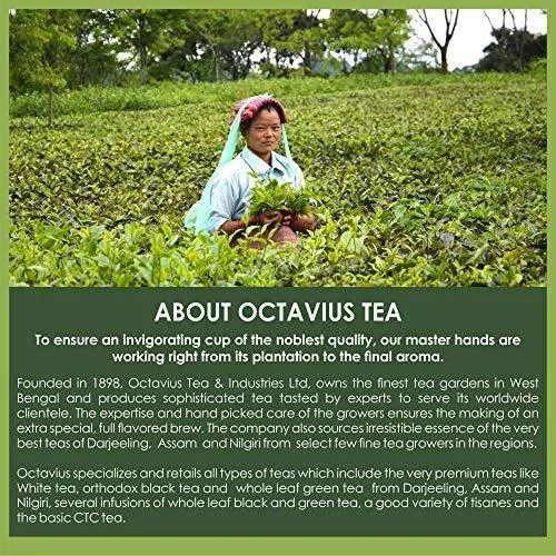 Octavius Borosilicate Glass Green Tea Cup with Infuser and Lid - 350 ml