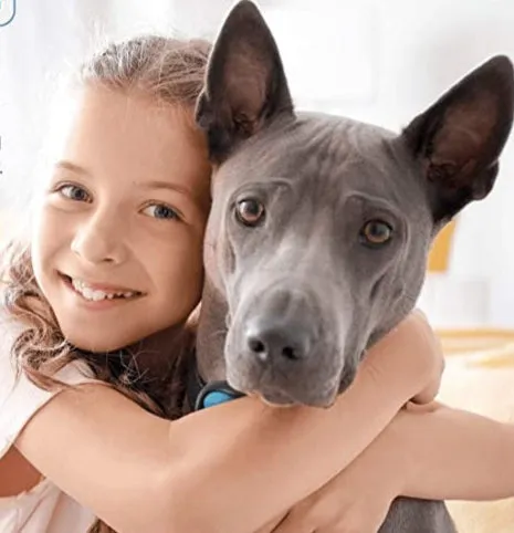 Petic Dog Bark Control Collar