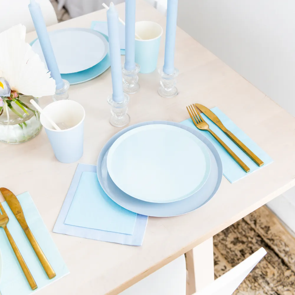 Shades Wedgewood Dinner Plates