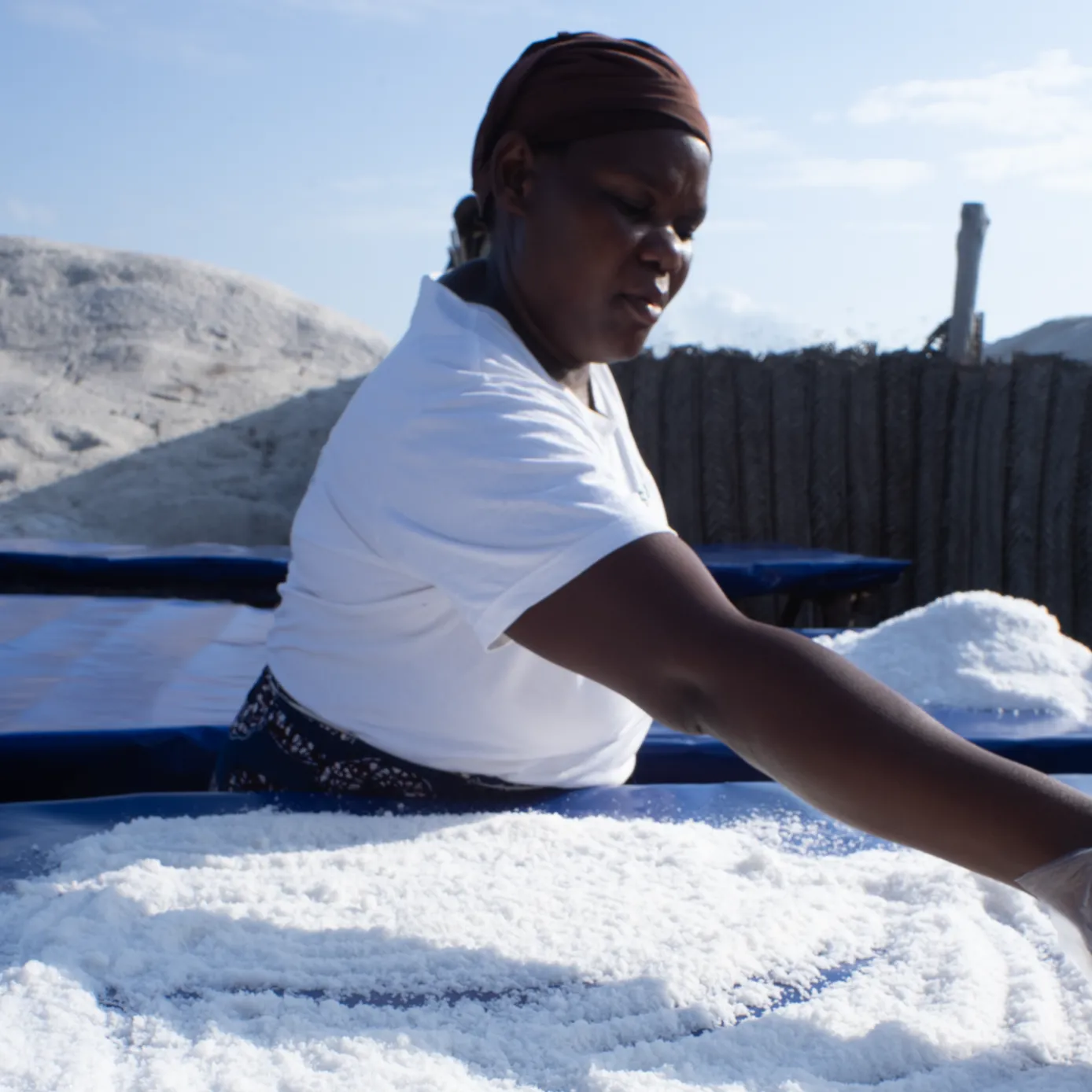 Wind-Blown Sea Salt